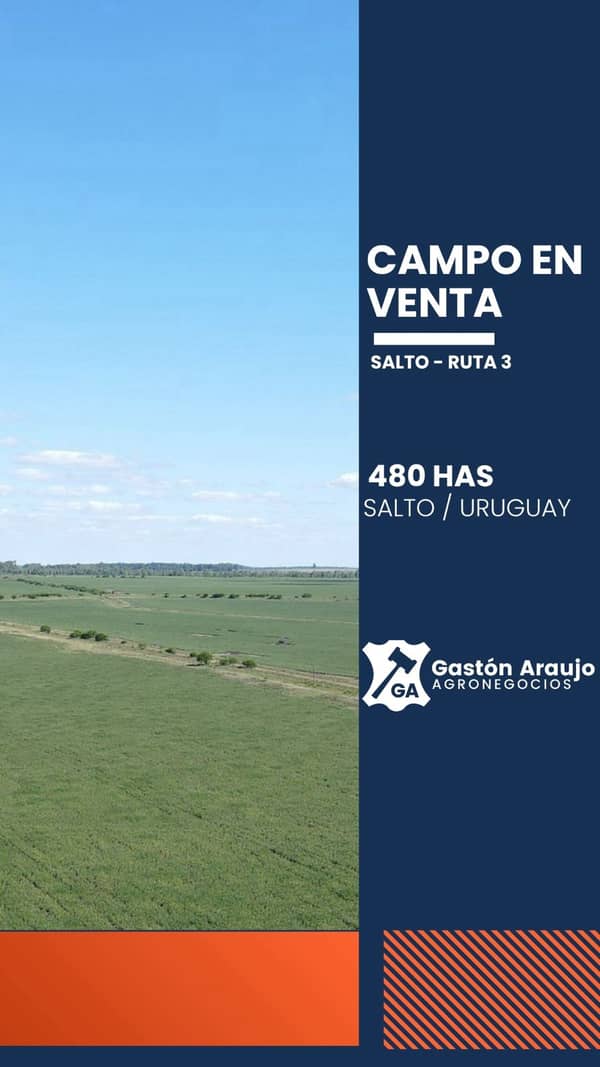 Venta / Ruta 3 / Salto